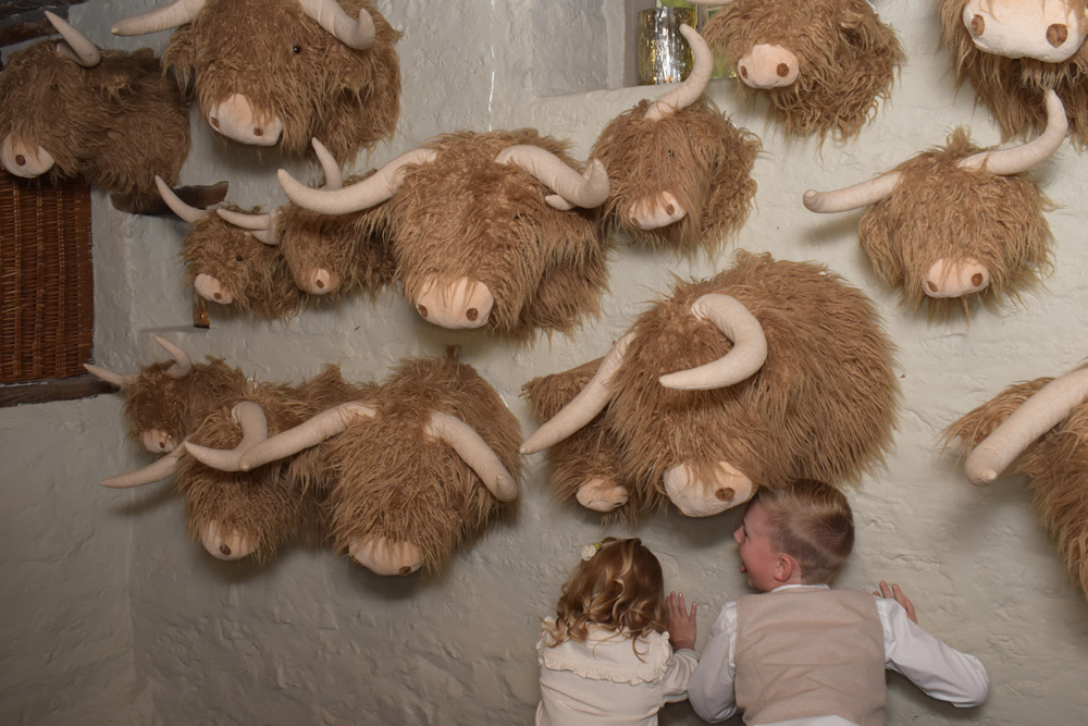 PartyBooth BY ELIAS WALPOT PHOTOGRAPHIE